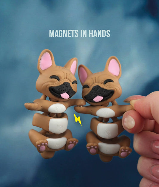 Frankie the Flexi French Bulldog