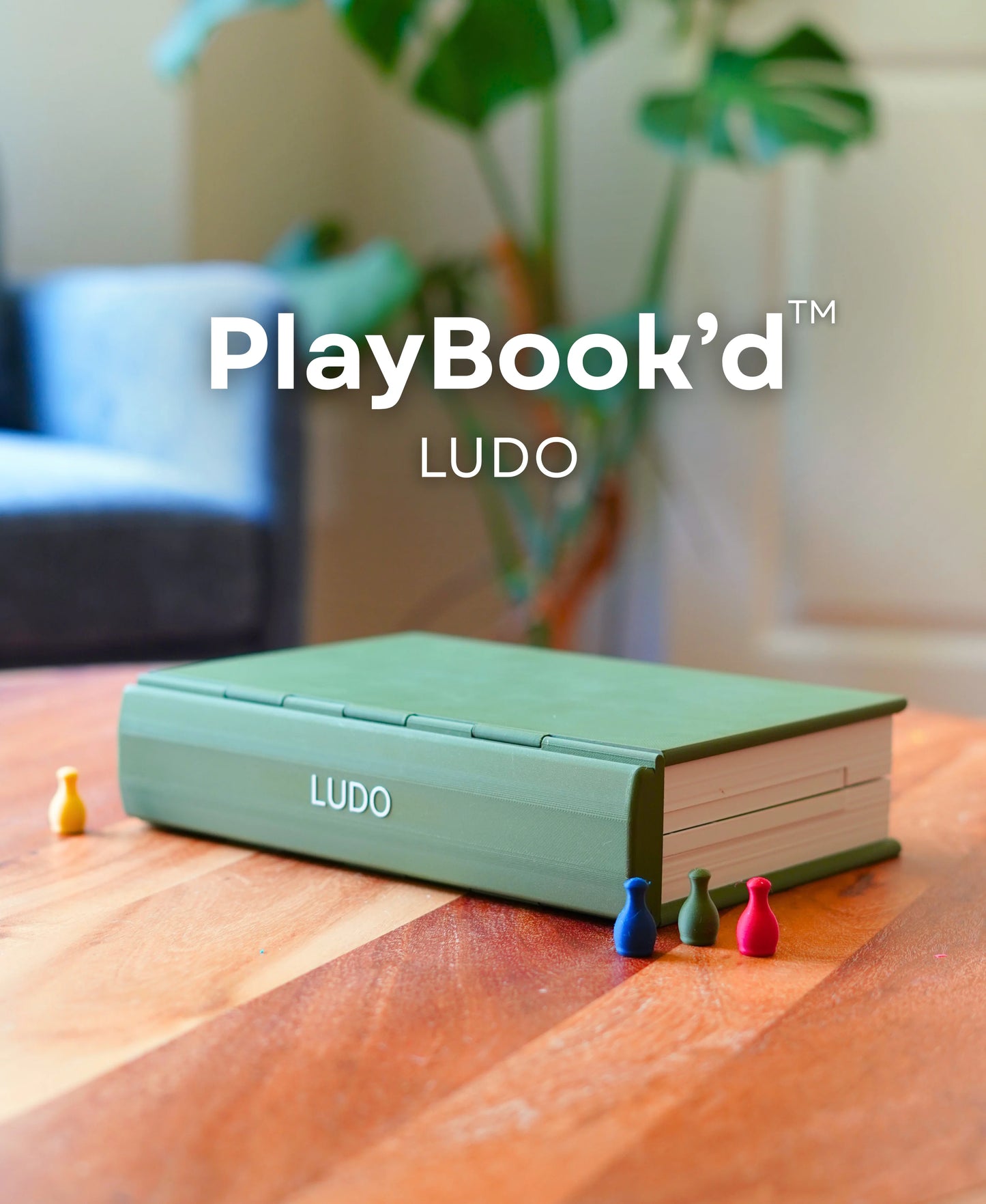 PlayBook'd Ludo