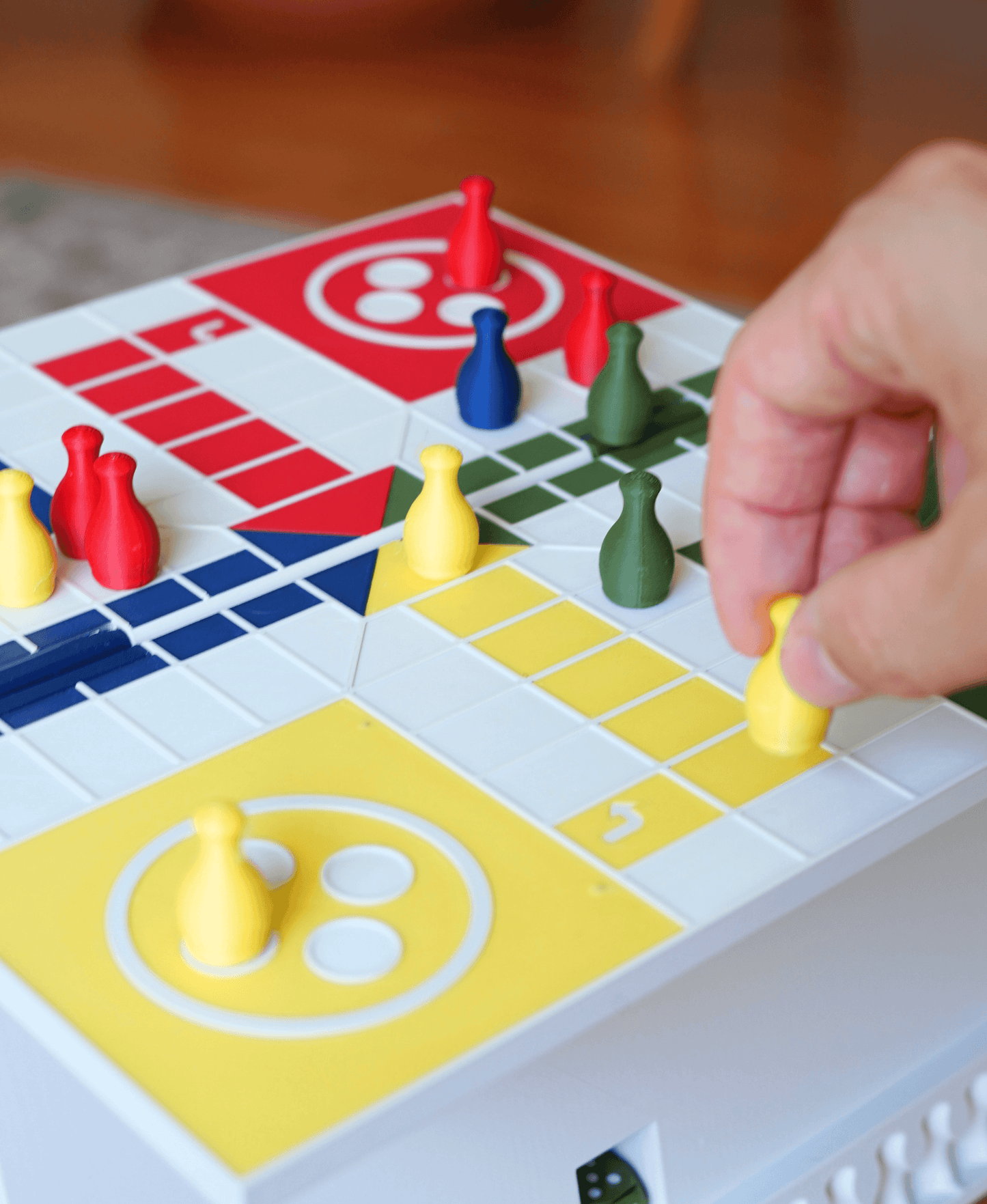 PlayBook'd Ludo