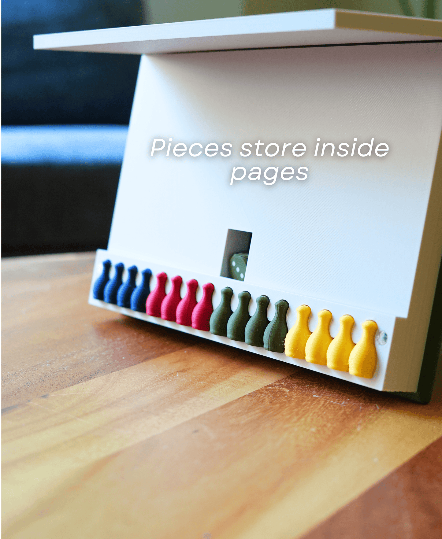 PlayBook'd Ludo