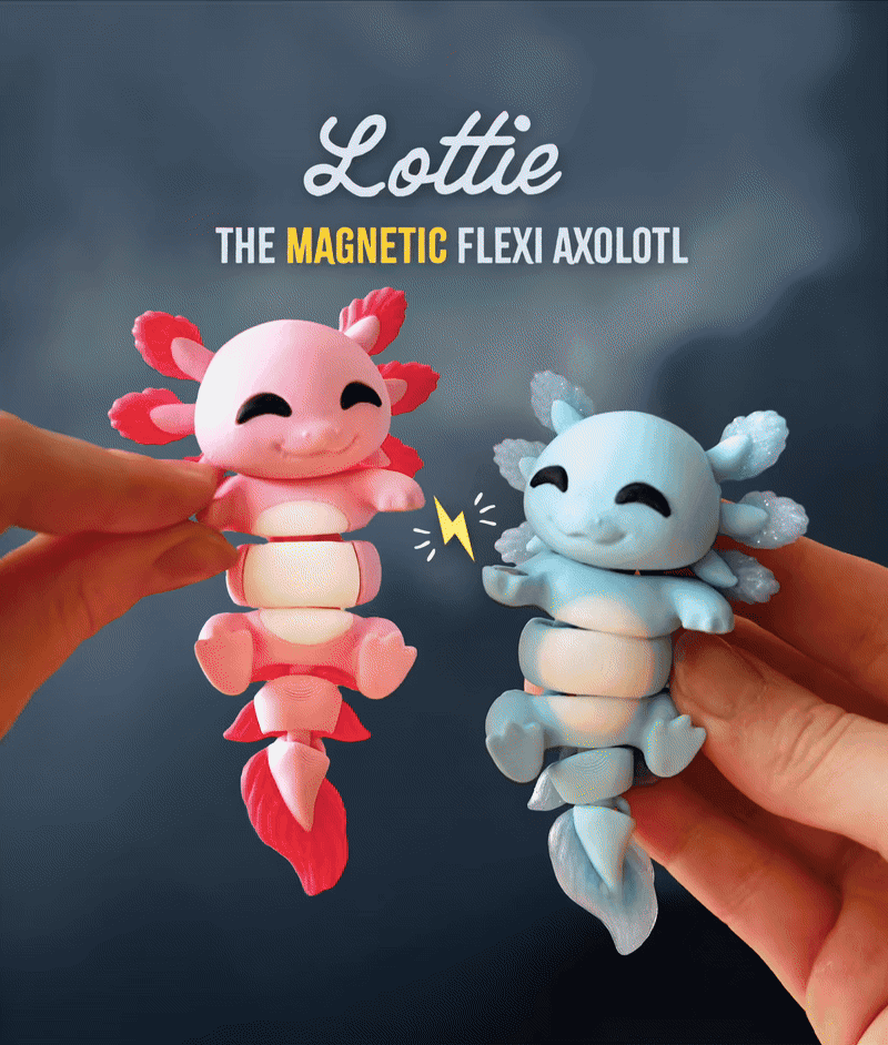 Flexi Kat