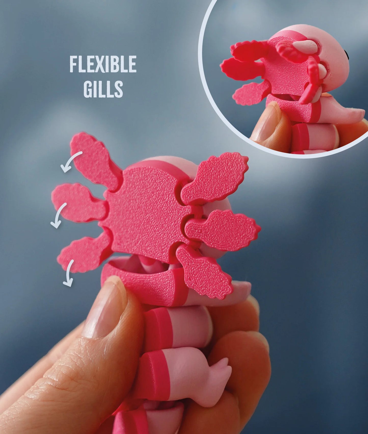 Flexi Kat