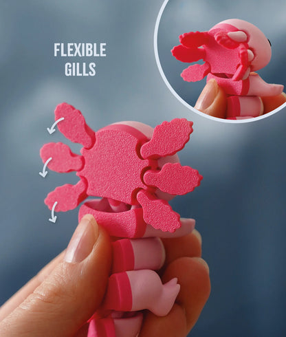 Flexi Kat