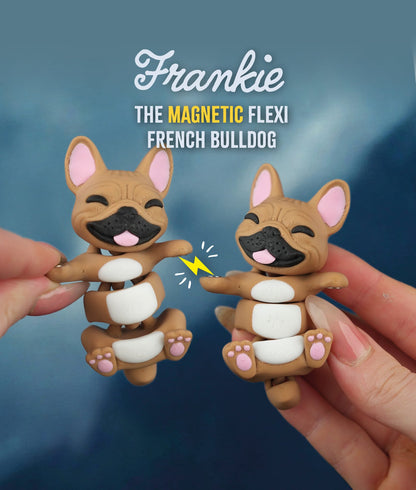 Flexi Kat