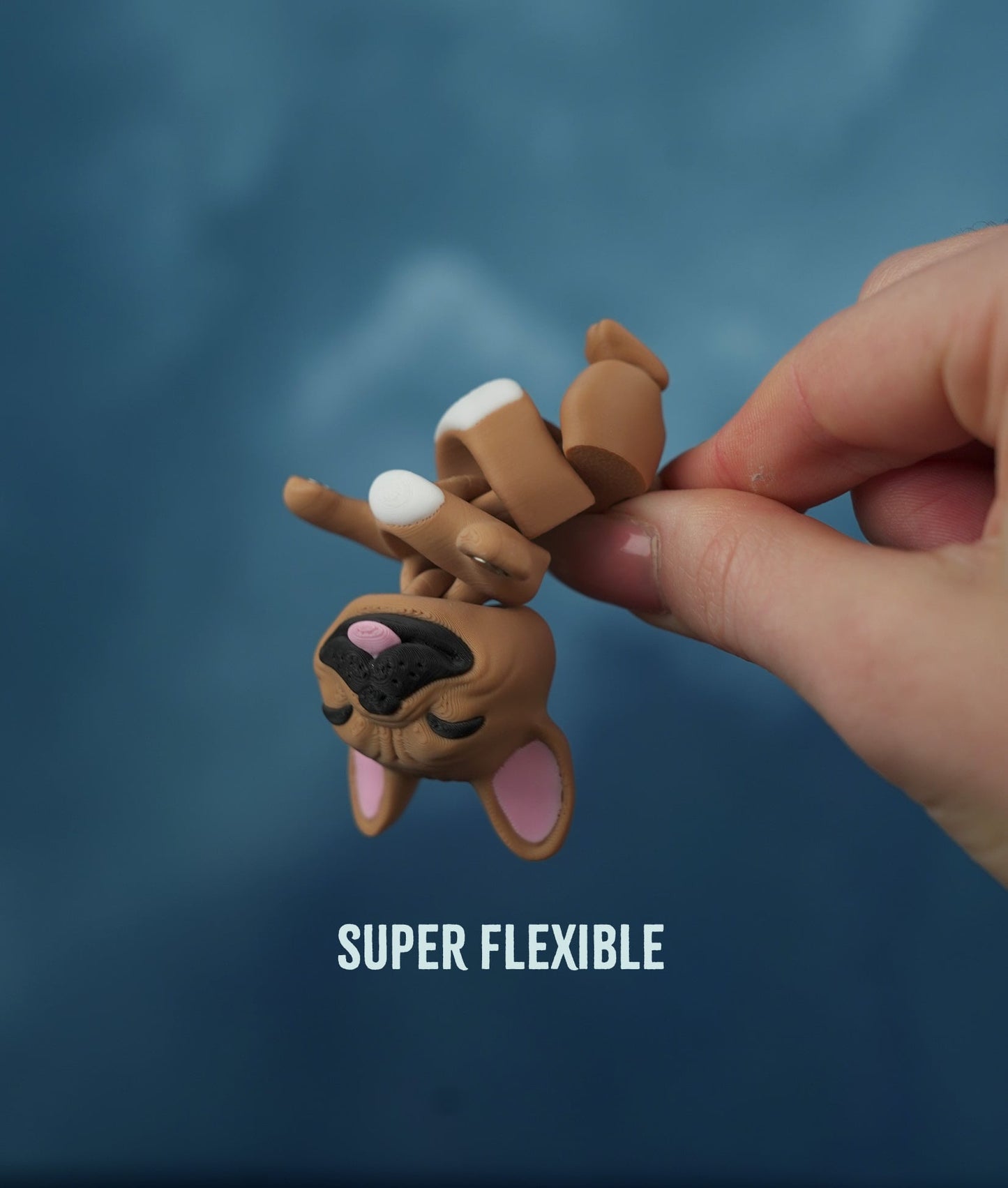 Flexi Kat