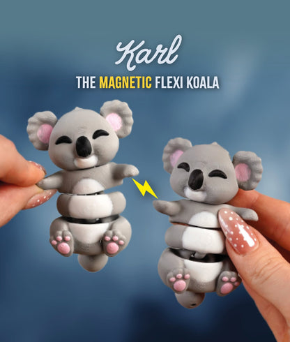 Flexi Kat