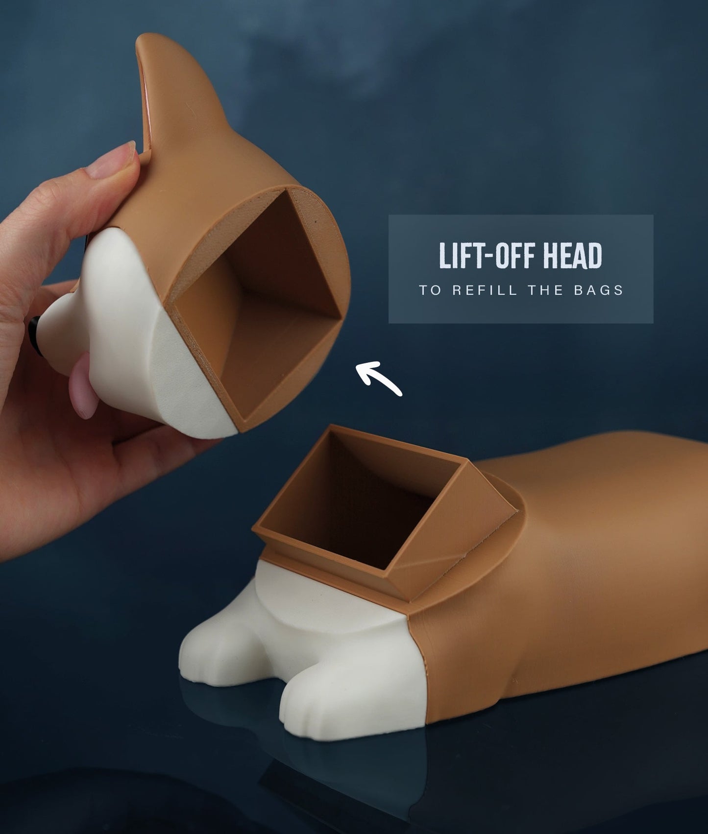 Poop Corgi