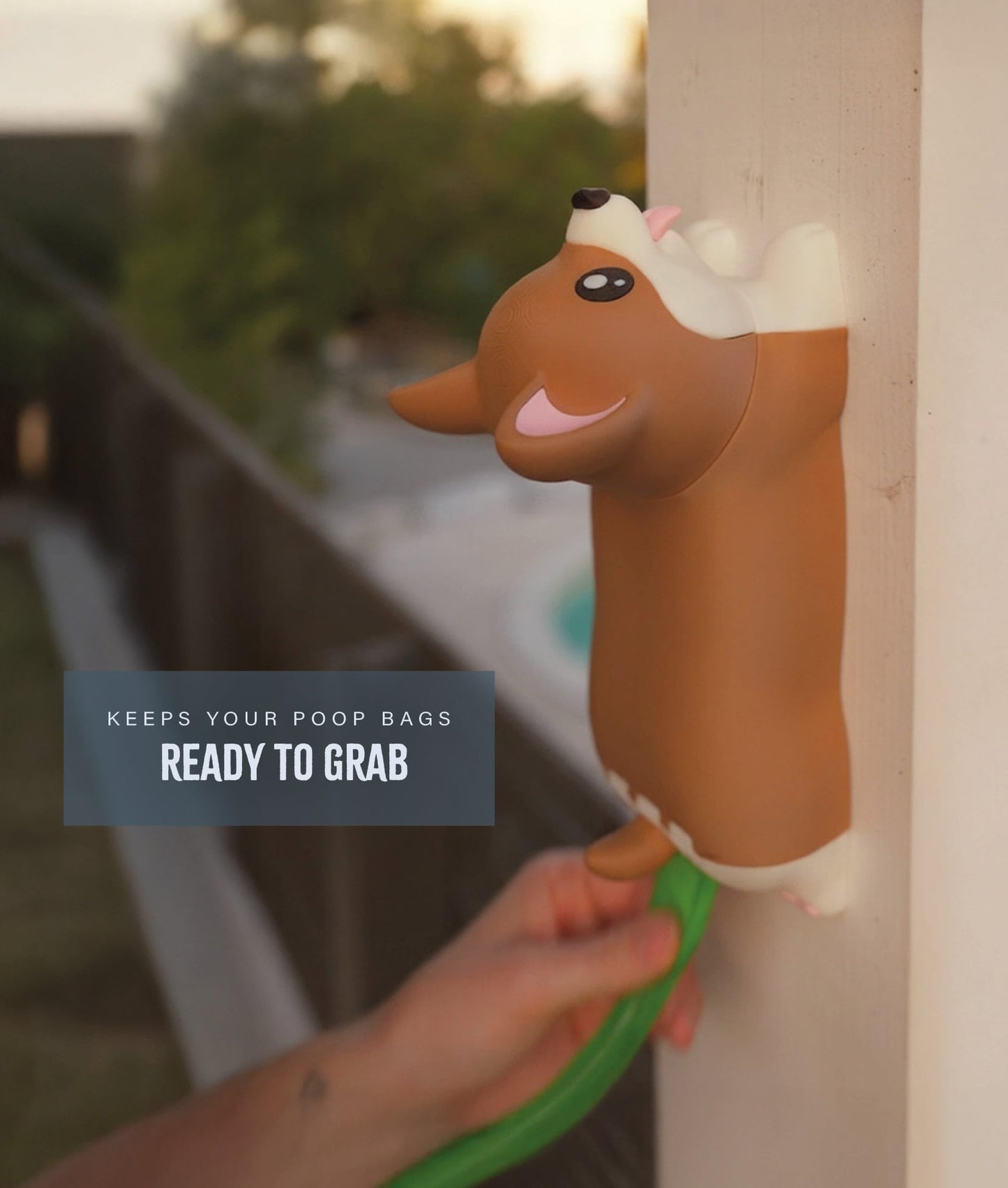Poop Corgi