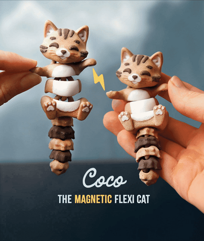 Coco the Flexi Cat